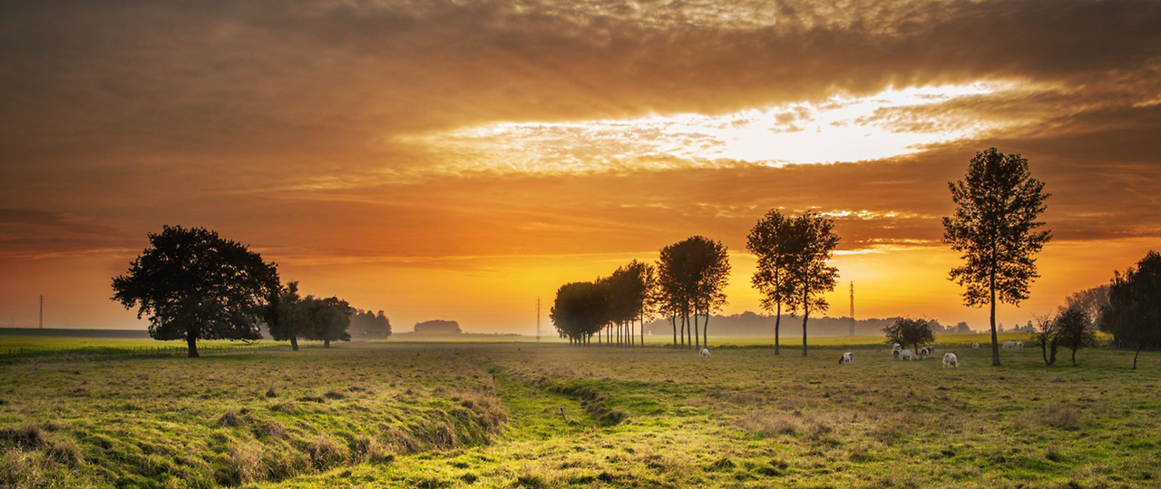 高可用企业级的ddos攻击器安卓ios下载