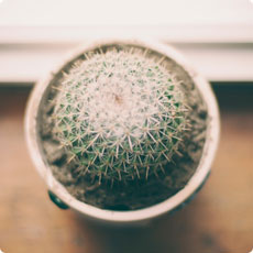 急需ddos攻击器安卓ios下载