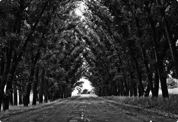 Web漏洞扫描工具