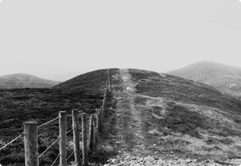 在线DDOS压力测试网页端